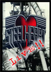 STEELHEART Live, Videos & More 1990 - 1992