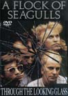 A FLOCK OF SEAGULLS THROUGH THE LOOKING GLASS